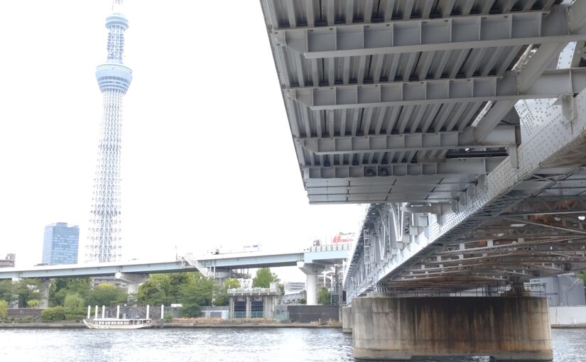 宮将軍擁立説