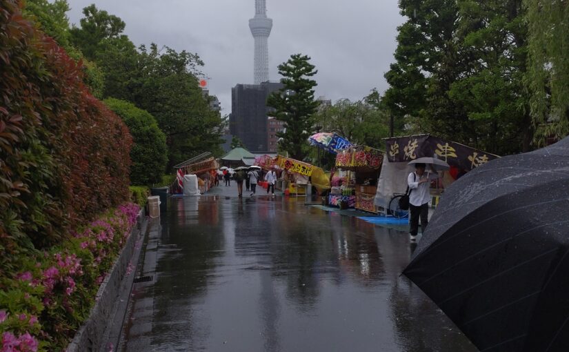 最近の株